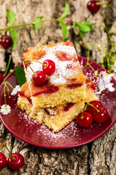 Tart Cherry Cake Powdered Sugar Selective Focus — Stock Photo, Image