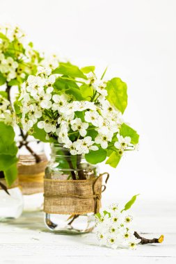 Beyaz arka planda güzel bahar elma çiçekleri. Kopya alanı olan Bahar Tasarımı Konsepti. Seçici odak.