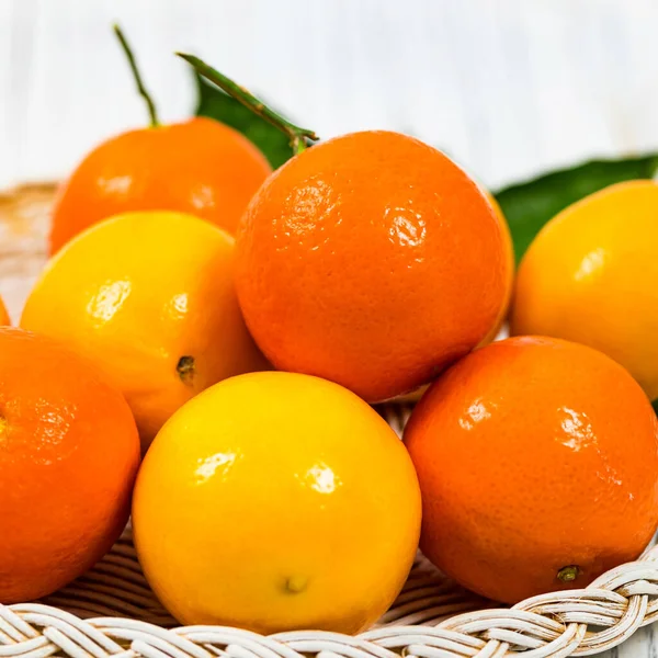 Citron Apelsiner Meyer Citron Hybrid Citrus Frukt Infödda Till Kina — Stockfoto