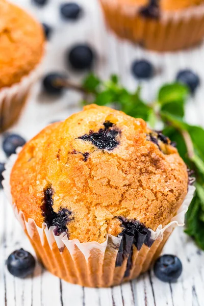 Blueberry Muffins with Fresh Blueberries on Wooden Background. Selective focus.