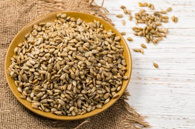 Ayçiçeği Çekirdekleri Kızarmış Tohumlar Arkaplanı. Seçici odak.