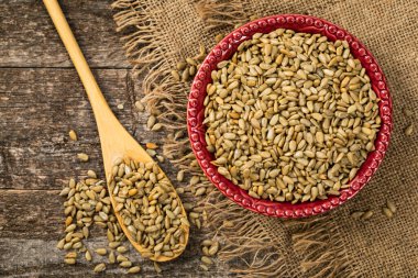 Ayçiçeği Çekirdekleri Kızarmış Tohumlar Arkaplanı. Seçici odak.