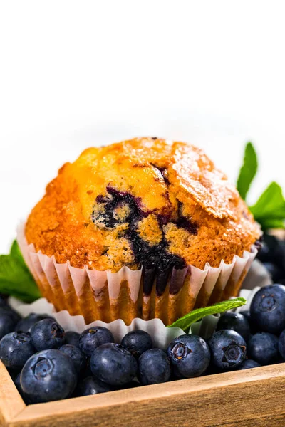 Muffins Aux Myrtilles Avec Des Myrtilles Fraîches Sur Fond Bois — Photo