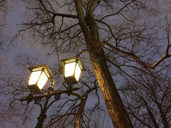 Street lamp, Moscow