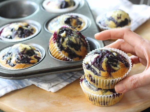 Ev yapımı blueberry muffins kağıt cupcake tutucu — Stok fotoğraf