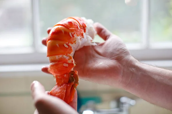 Bütün ıstakoz eti holding iki eller