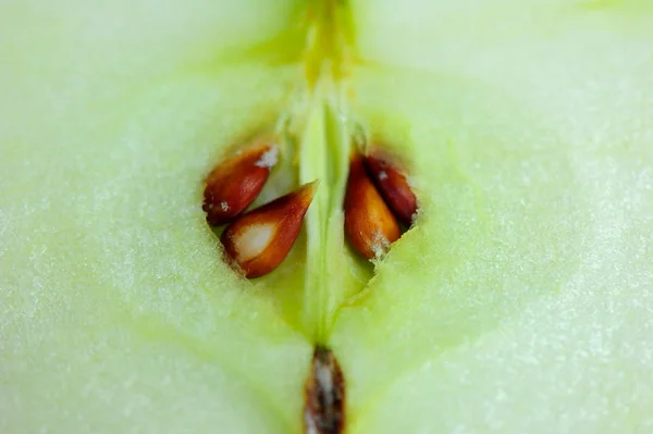 Nahaufnahme von grünem Apfel mit Samen — Stockfoto