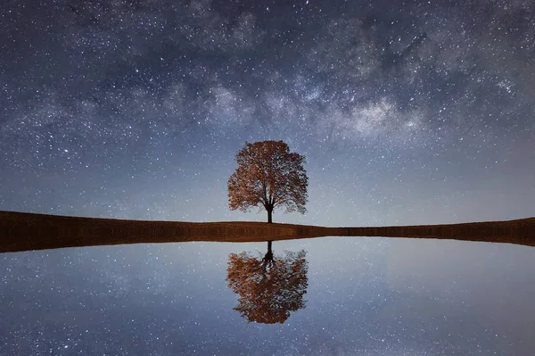 Vía Láctea sobre un solo árbol solitario Imagen de stock