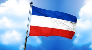 Schleswig Holstein bayrağı, 3D görüntüleme