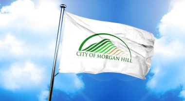 Morgan Hill bayrağı, 3D görüntüleme