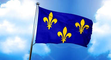 Ile de France bayrağı, 3D görüntüleme