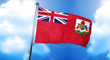 Bermuda bayrağı, 3D görüntüleme