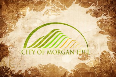 Vintage Morgan hill bayrak