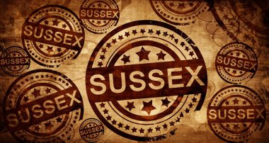 Sussex, kağıt arka plan üzerinde vintage damgası