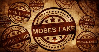 Moses lake, kağıt arka plan üzerinde vintage damgası