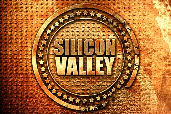 Silicon Valley Rendering Grunge Metal Text — Foto de Stock