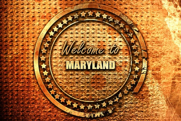 Bienvenue Maryland Avec Quelques Lignes Lisses Rendu Texte Métal Grunge — Photo
