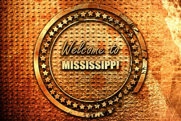 Welcome Mississippi Some Smooth Lines Rendering Grunge Metal Text — Stock Photo, Image