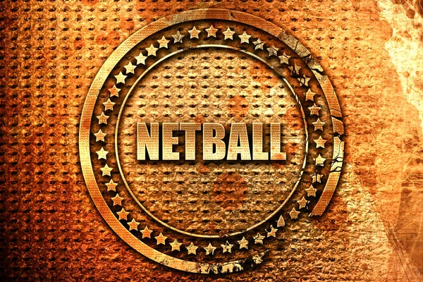 Netball Podepsat Pozadí Některými Měkkými Hladkými Liniemi Vykreslování Grunge Metal — Stock fotografie