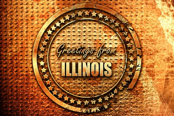 Saludos Desde Illinois Con Algunas Líneas Suaves Representación Texto Grunge — Foto de Stock