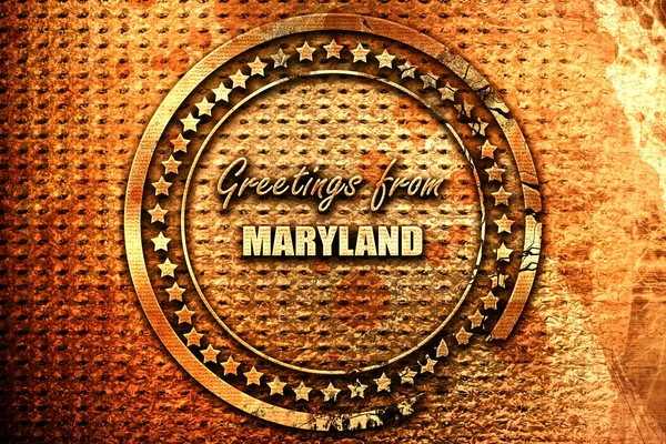 Salutations Maryland Avec Quelques Lignes Lisses Rendu Texte Métal Grunge — Photo