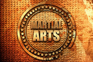 Dövüş sanatları, 3d render, grunge metal pul