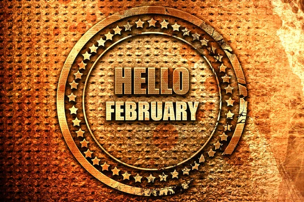 Hola febrero, renderizado 3D, sello de metal grunge — Foto de Stock