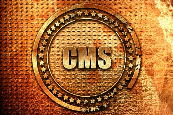 CMS, 3d-rendering, grunge metallstämpel — Stockfoto