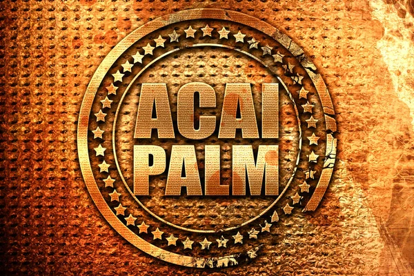 Acai palm, 3D rendering, grunge metal stamp — Stock Photo, Image