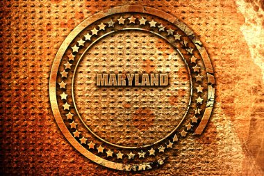 Maryland, 3d render, grunge metal pul