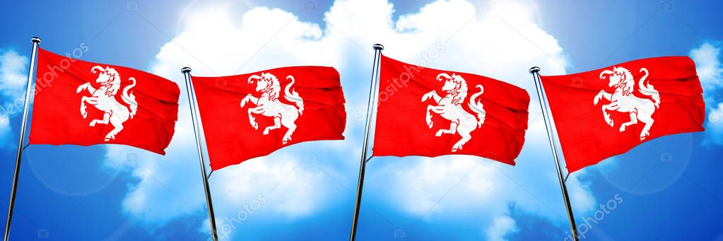 Twente flag, 3D rendering
