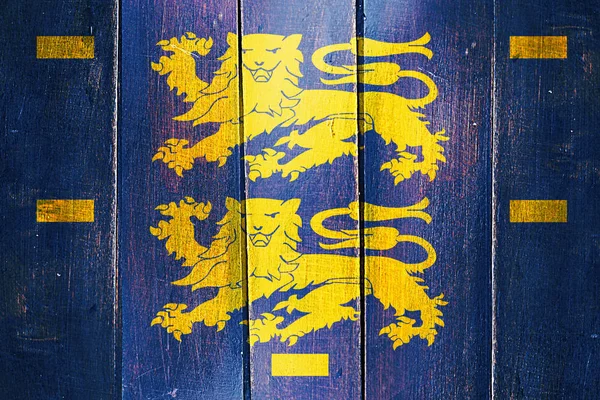 Vintage West friesland flag on grunge wooden panel — Stock Photo, Image