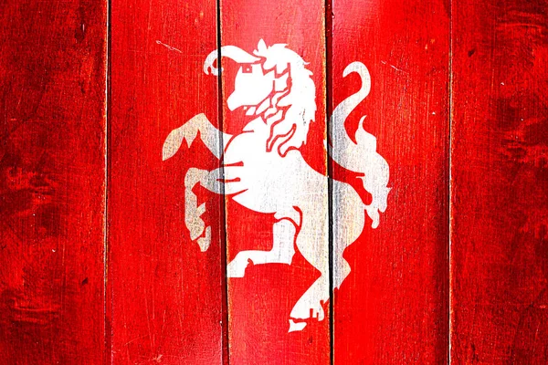 Vintage Twente flag on grunge wooden panel — Stock Photo, Image