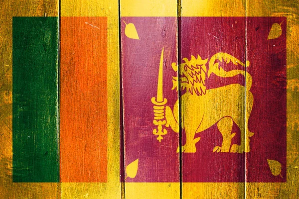 Ročník Srí lanka vlajku na grunge dřevěný panel — Stock fotografie