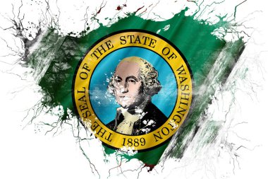 Grunge eski Washington bayrak