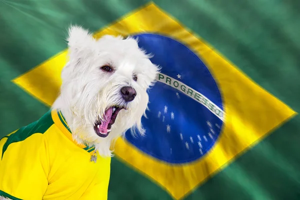 Screaming dog world cup — Stock Photo, Image