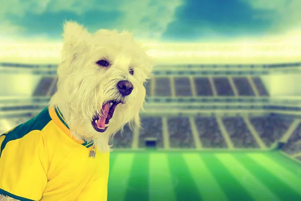 Vintage brasilianska hund fläkt skrikande på stadion Stockbild