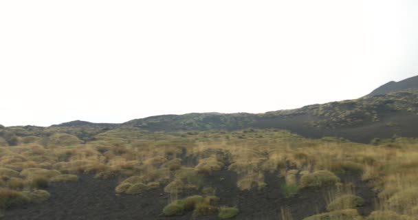 Etna Lateral Crater — Stockvideo