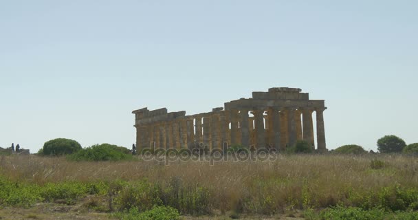 Selinunte griechische Tempel Sizilien — Stockvideo