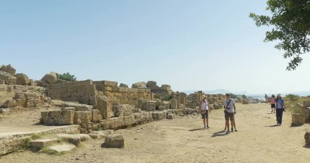 Selinunte görög templom Szicília — Stock videók