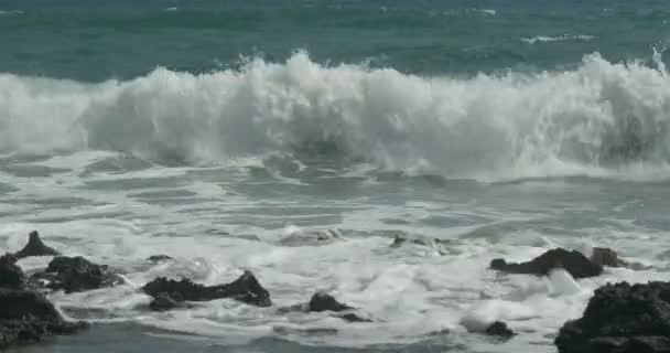 Dalga deniz gürültüyle çarpmak — Stok video