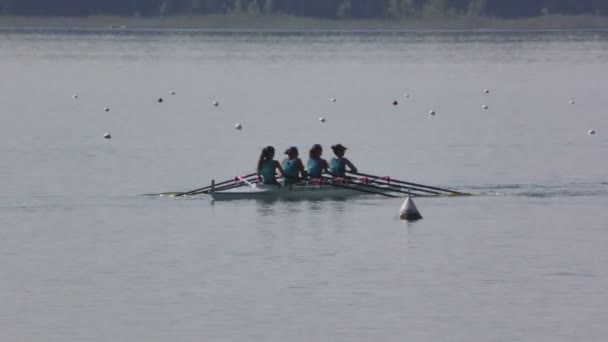 Campeonato Regional de Remo — Vídeo de stock