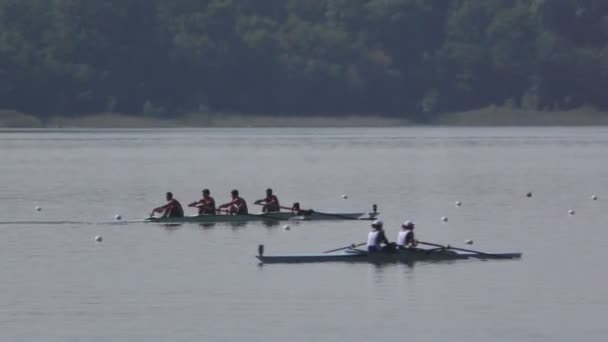 Regionaal roeien kampioenschap — Stockvideo