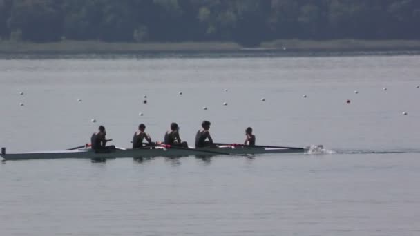 Campeonato Regional de Remo — Vídeo de stock