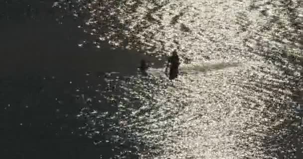 Мужчина и женщина отдыхают в спокойном море — стоковое видео