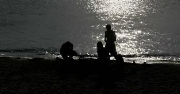 Silhouet Young Play Shore — Stockvideo