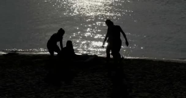 Silhouet Young Play Shore — Stockvideo