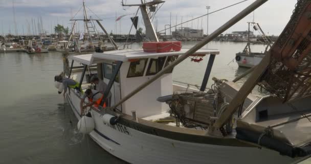 Eine Venusmuschel, eine spezielle Art von Trawler — Stockvideo