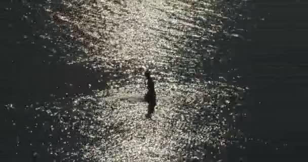 Kinderen spelen met een bal in de zee bij zonsondergang — Stockvideo