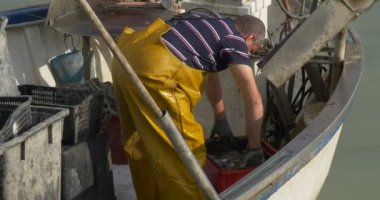 Balıkçı taze yakaladı Mürekkep balıkları satıyor